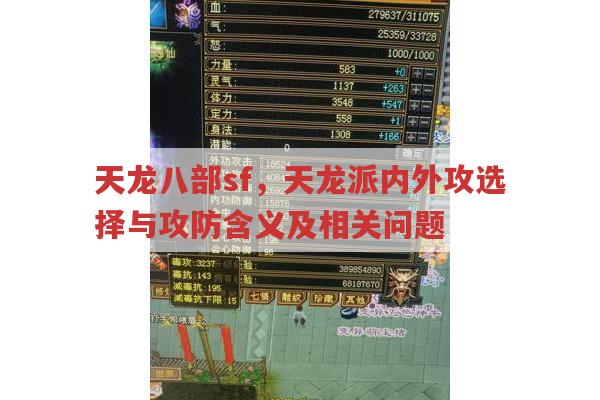 天龙八部sf天龙派内外攻选择及攻防含义全解析